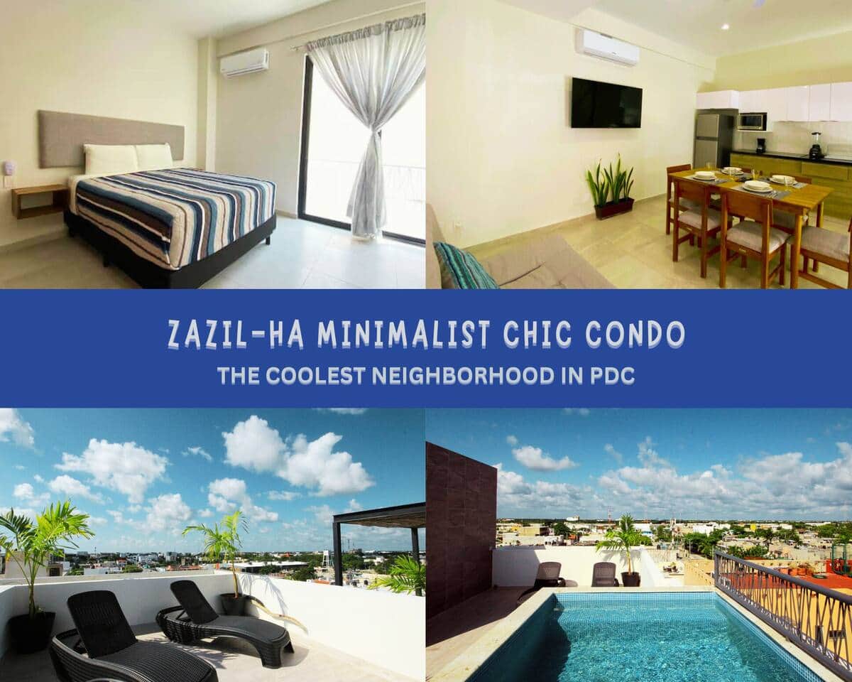 Chic Rooftop Plunge Condo